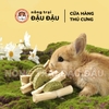 Dây Bánh Cỏ