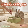 Chén Ăn Chống Lật Cho Thỏ, Bọ Ú, Chinchilla, Chó, Mèo