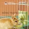 Bình Nước Cho Thỏ, Bọ Ú, Chinchilla Tự Động Cao Cấp 600ml