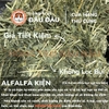 Cỏ Alfalfa Cho Thỏ, Bọ Ú, Chinchilla 1kg