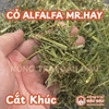 Cỏ Mr.Hay Cắt Khúc