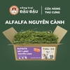 Cỏ Alfalfa Sấy Lạnh - Đậu Đậu Fresh Select