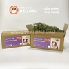 Cỏ Alfalfa Sấy Lạnh - Đậu Đậu Fresh Select