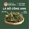 Cỏ Bồ Công Anh
