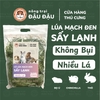 Cỏ Lúa Mạch Đen Cho Thỏ, Bọ Ú, Chinchilla Ăn Vặt Thơm Ngon 250g