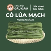 Cỏ Lúa Mạch - Đậu Đậu Fresh Select