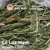 Cỏ Lúa Mạch - Đậu Đậu Fresh Select