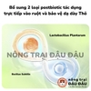 Cỏ Nén Cho Thỏ Yee Oatmeal
