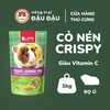 Cỏ Nén Crispy Cho Bọ Ú