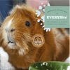 (Túi Nguyên) Guinea Pig Oxbow Essentials Adult 2,25kg