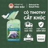 Cỏ Mr.Hay Cắt Khúc