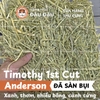 Cỏ Timothy Cho Thỏ, Bọ Ú, Chinchilla Giàu Chất Xơ 1kg