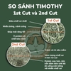 Cỏ Timothy Cho Thỏ, Bọ Ú, Chinchilla