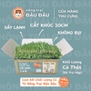 Cỏ Timothy Sấy Lạnh Cho Thỏ, Bọ Ú, Chinchilla Cắt Khúc Siêu Xanh Lá Mềm 480g 980g