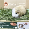 Cỏ Timothy Sấy Lạnh Cho Thỏ, Bọ Ú, Chinchilla Nguyên Cành Siêu Xanh Lá Mềm 480g 980g