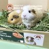 Cỏ Timothy Sấy Lạnh Cho Thỏ, Bọ Ú, Chinchilla Nguyên Cành Siêu Xanh Lá Mềm 480g 980g