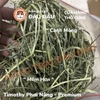 Cỏ Timothy Cho Bọ Ú, Thỏ, Chinchilla Timothy Phơi Nắng Không Bụi 500g