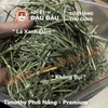Cỏ Timothy Cho Bọ Ú, Thỏ, Chinchilla Timothy Phơi Nắng Không Bụi 500g