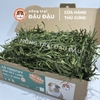 Cỏ Timothy Sấy Lạnh Full Lá Giòn Premium Siêu Xanh Cho Thỏ, Bọ Ú, Chinchilla 500g