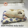 Đệm Cho Bọ Ú, Thỏ, Chinchilla, Thú Nhỏ Đệm Phồng Thoải Mái Thoáng Mát