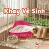 Khay vệ sinh dành cho thú cưng, sử dung trong gia đình, chất liệu nhựa PP, kích thước (24*32*5)cm, không hoạt Cái 80 26.660 2.132.800 8% 170.624 2.303.424 động bằng điện, không hiệu