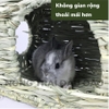 Nhà Cỏ Trú Ẩn Cho Bọ Ú, Thỏ, Chinchilla 2 Cửa
