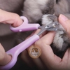 Kéo Cắt Và Dũa Móng Cho Thỏ, Bọ Ú, Chinchilla, Thú Cưng Hiệu Jolly