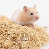 Mùn Cưa Lót Chuồng Cho Thỏ, Bọ Ú, Hamster, Chinchilla 1kg