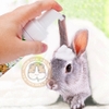 Sữa Tắm Khô Marsa Cho Thỏ, Bọ Ú, Hamster, Chinchilla 100ml