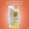 Lược Chải Lông Cho Thỏ, Bọ Ú, Chinchilla Cao Cấp Hiệu Jolly JP221