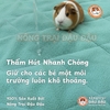 Thảm Pee Pads Đậu Đậu