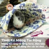 Túi Ngủ Trú Ẩn Cho Bọ Ú Chuột Lang Vải Thoáng Mát