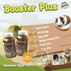 Bột Cỏ Bổ Sung Vitamin Booster Plus Cho Bọ Ú, Thỏ, Chinchilla, Rùa Cạn, Thú Gặm Nhấm