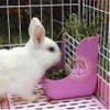 Máng Ăn Cho Thỏ, Bọ Ú, Chinchilla Máng Ăn 2 Trong 1 Tiện Lợi