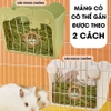 Máng Cỏ Cho Thỏ, Bọ Ú, Chinchilla Jessie Cao Cấp Tiện Lợi