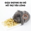 Đu Đủ Sợi Ăn Vặt Cho Thỏ, Bọ Ú, Chichilla Ăn Vặt Thơm Ngon Hỗ Trợ Tiêu Lông Tiêu Hoá 60g