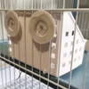 Máng Cỏ Khô Cho Bọ Ú, Thỏ, Chinchilla Khay Cỏ Tiện Lợi, Sức Chứa Lớn