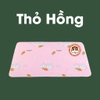 Thảm Tã Thấm Hút Cho Thỏ, Bọ Ú (Chuột Lang) Pee Pads