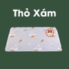 Thảm Tã Thấm Hút Cho Thỏ, Bọ Ú (Chuột Lang) Pee Pads