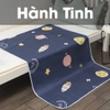 Thảm Tã Thấm Hút Cho Thỏ, Bọ Ú (Chuột Lang) Pee Pads