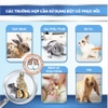 Bột Cỏ Phục Hồi Sức Khoẻ Khẩn Cấp Cho Thỏ, Bọ Ú, Chinchilla DrBunny Procare DR359 150g