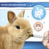 Bột Cỏ Phục Hồi Sức Khoẻ Khẩn Cấp Cho Thỏ, Bọ Ú, Chinchilla DrBunny Procare DR359 150g