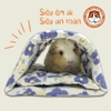Hầm Chui Cho Bọ Ú Chuột Lang, Hamster Hầm Chui Vải Đậu Đậu