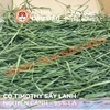 Cỏ Timothy Sấy Lạnh 95% Lá Nguyên Cành - Đậu Đậu Fresh Select