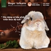 Cỏ Nén Hope Arharn Cho Thỏ