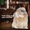 Cỏ Nén Hope Arharn Cho Thỏ