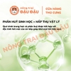 Hạt Khử Mùi Khay Vệ Sinh Yee Cho Thỏ, Bọ Ú, Thú Nhỏ