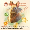 Cỏ Nén Yee Cho Thỏ Hạt Phồng Chăm Sóc Lông 1kg