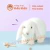 Rễ Rau Diếp Xoăn Cho Thỏ, Bọ Ú, Chinchilla, Hamster Yee Ăn Vặt Hộp 60g