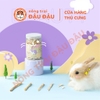 Rễ Rau Diếp Xoăn Cho Thỏ, Bọ Ú, Chinchilla, Hamster Yee Ăn Vặt Hộp 60g